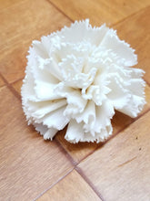 Load image into Gallery viewer, Carnations-2&#39;&#39;