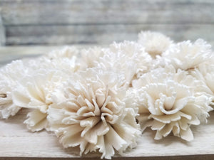 Carnations-1.5''