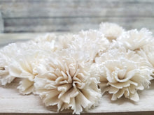 Load image into Gallery viewer, Carnations-4&#39;&#39;