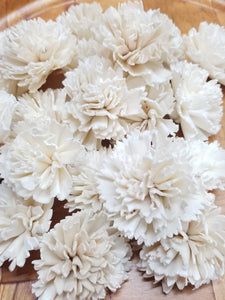 Carnations-3''