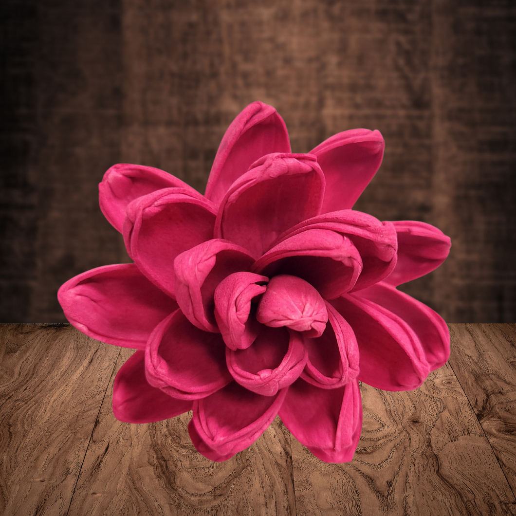 Fuschia Wood Flower Dye