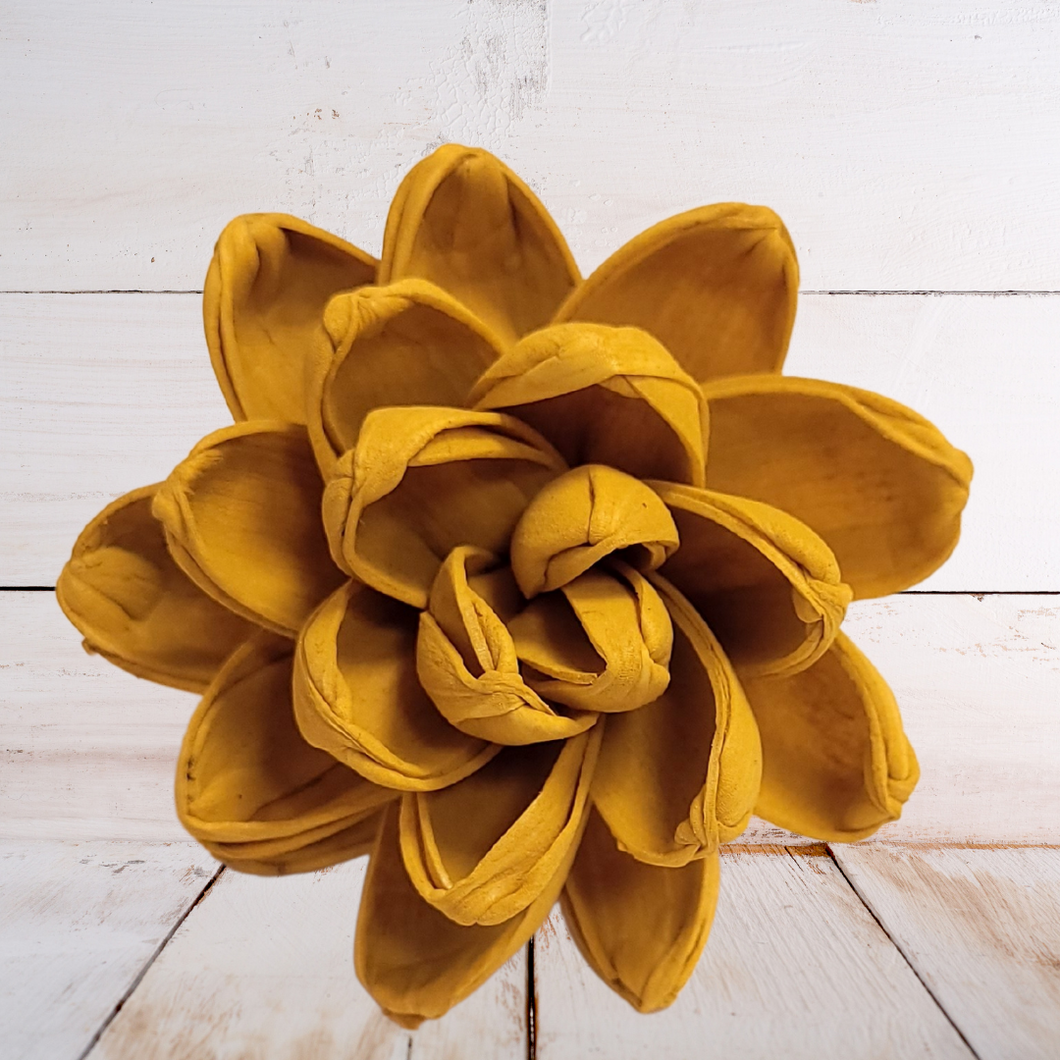 Mustard Wood Flower Dye