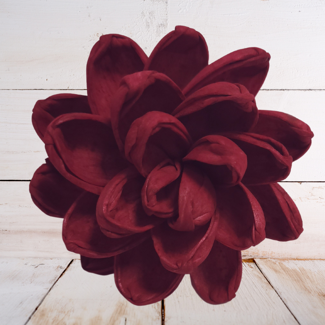Crimson Wood Flower Dye