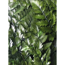 Load image into Gallery viewer, Leather Fern