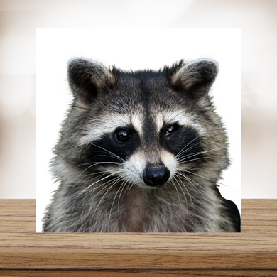 Raccoon Wood Print- 12x12 Square
