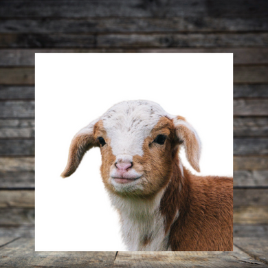 Goat #4 Wood Print- 12x12 Square