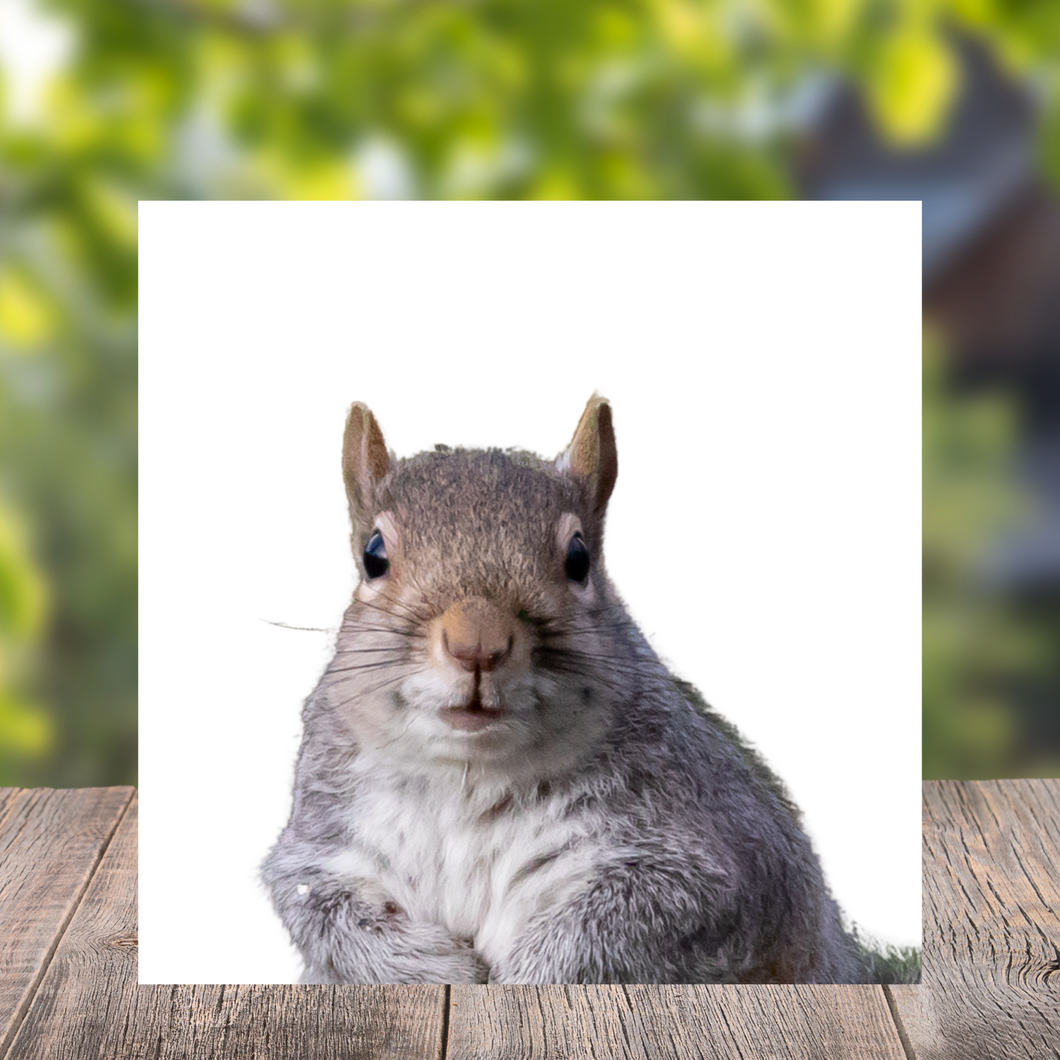 Squirrel Wood Print- 12x12 Square