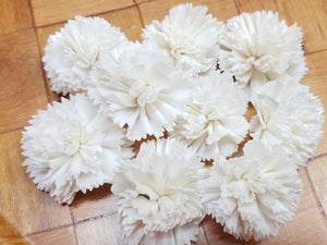 Carnations-1.5''