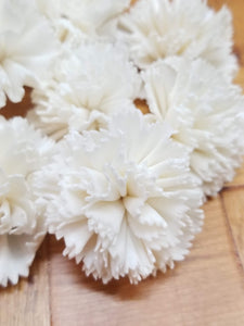 Carnations-2''