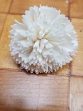 Load image into Gallery viewer, Carnations-1.5&#39;&#39;