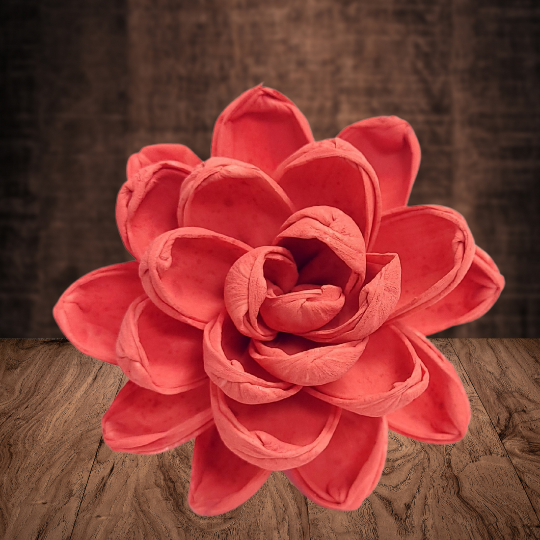 Sonora Rose Wood Flower Dye