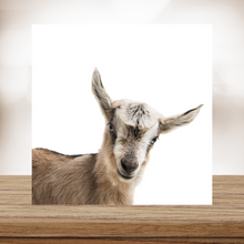 Load image into Gallery viewer, Goat #3 Wood Print- 12x12 Square