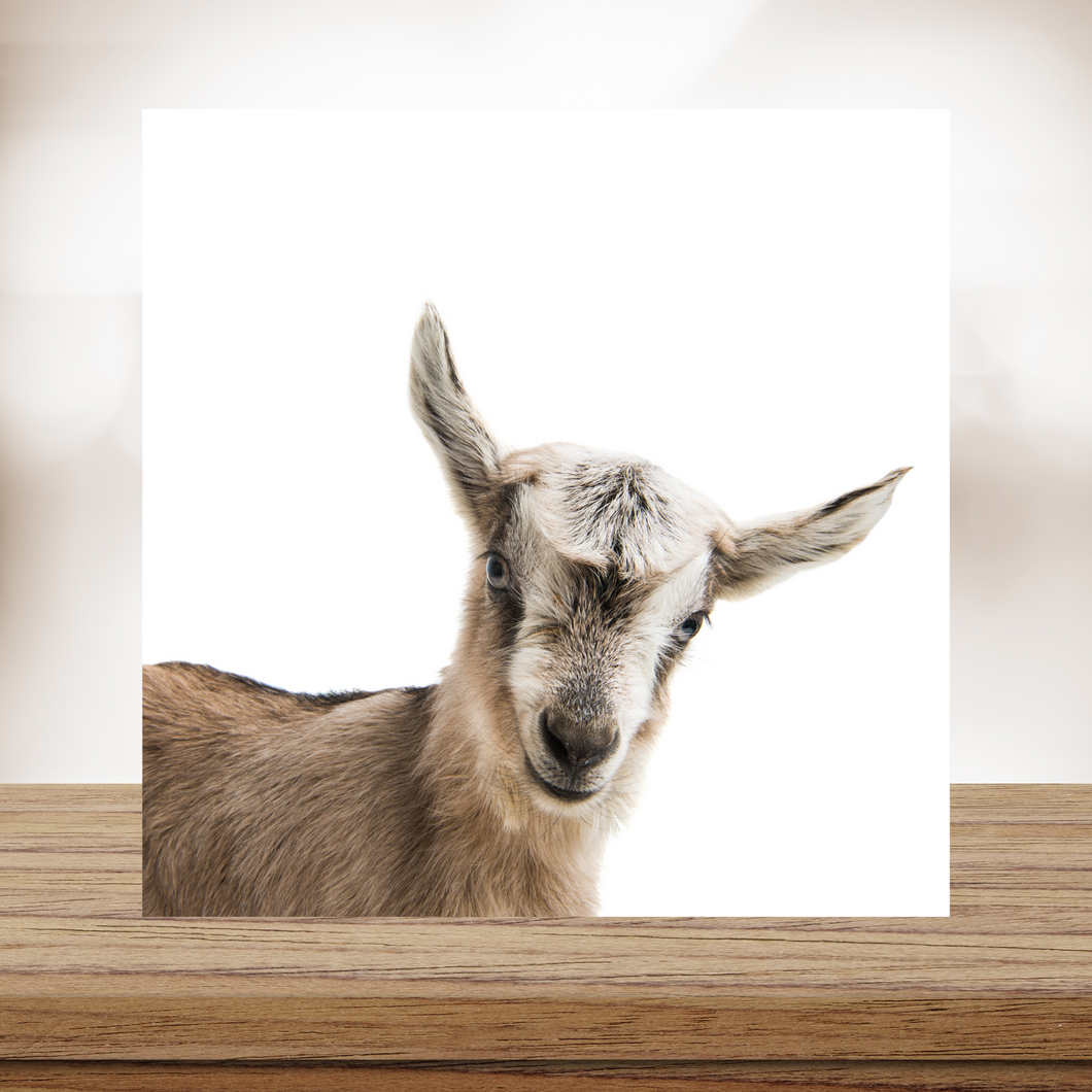 Goat #3 Wood Print- 12x12 Square