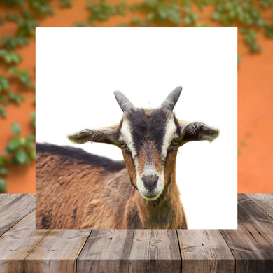 Goat #2 Wood Print- 12x12 Square