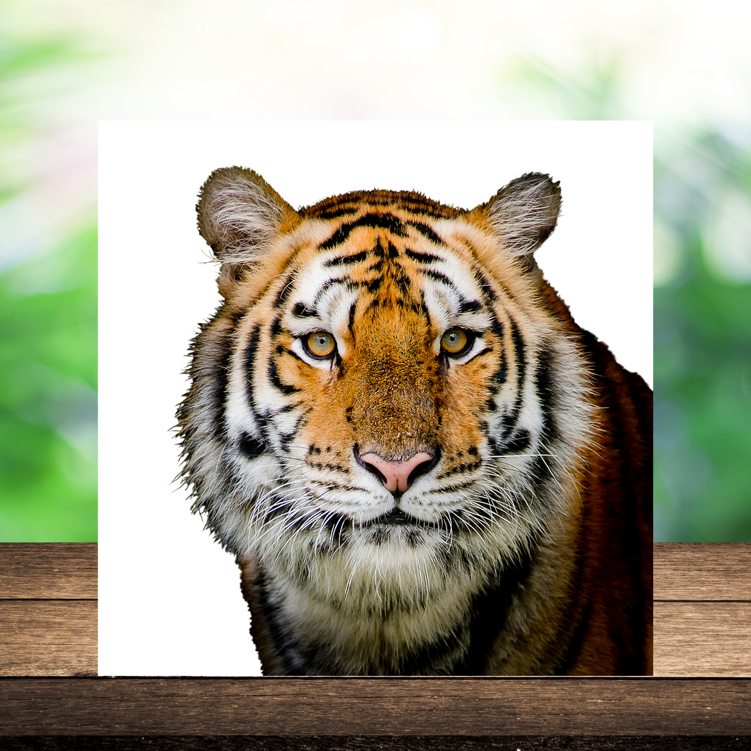 Tiger Wood Print- 12x12 Square