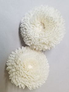 Chrysanthemum - 3"