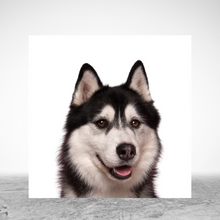 Load image into Gallery viewer, Husky Wood Print- 12x12 Square