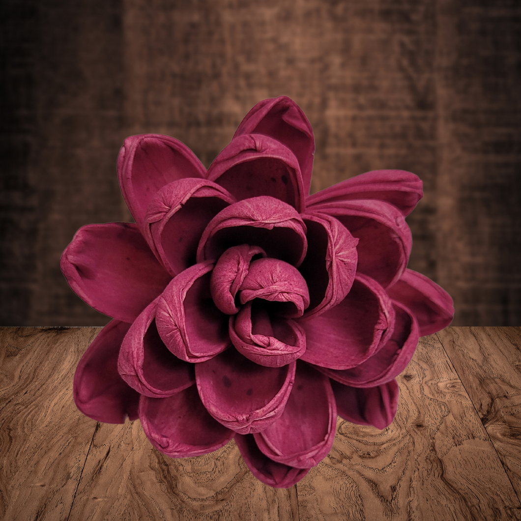 Raspberry Wood Flower Dye
