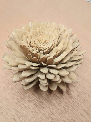 Skin Zinnia -2''