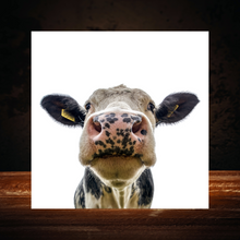 Load image into Gallery viewer, Cow Wood Print- 12x12 Square