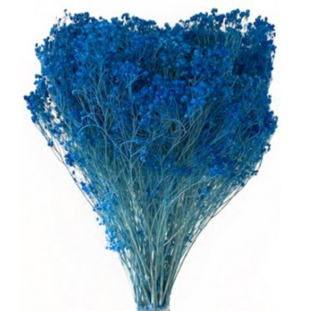 Sea Blue Broom Bloom