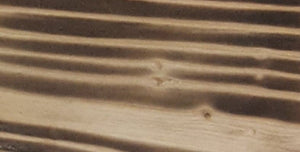 Leopard Wood Grain Hi Wood Print- 12x12 Square